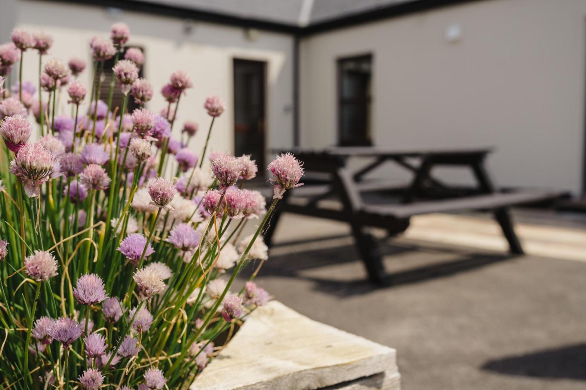 Creevy Cottages Росноулах Экстерьер фото